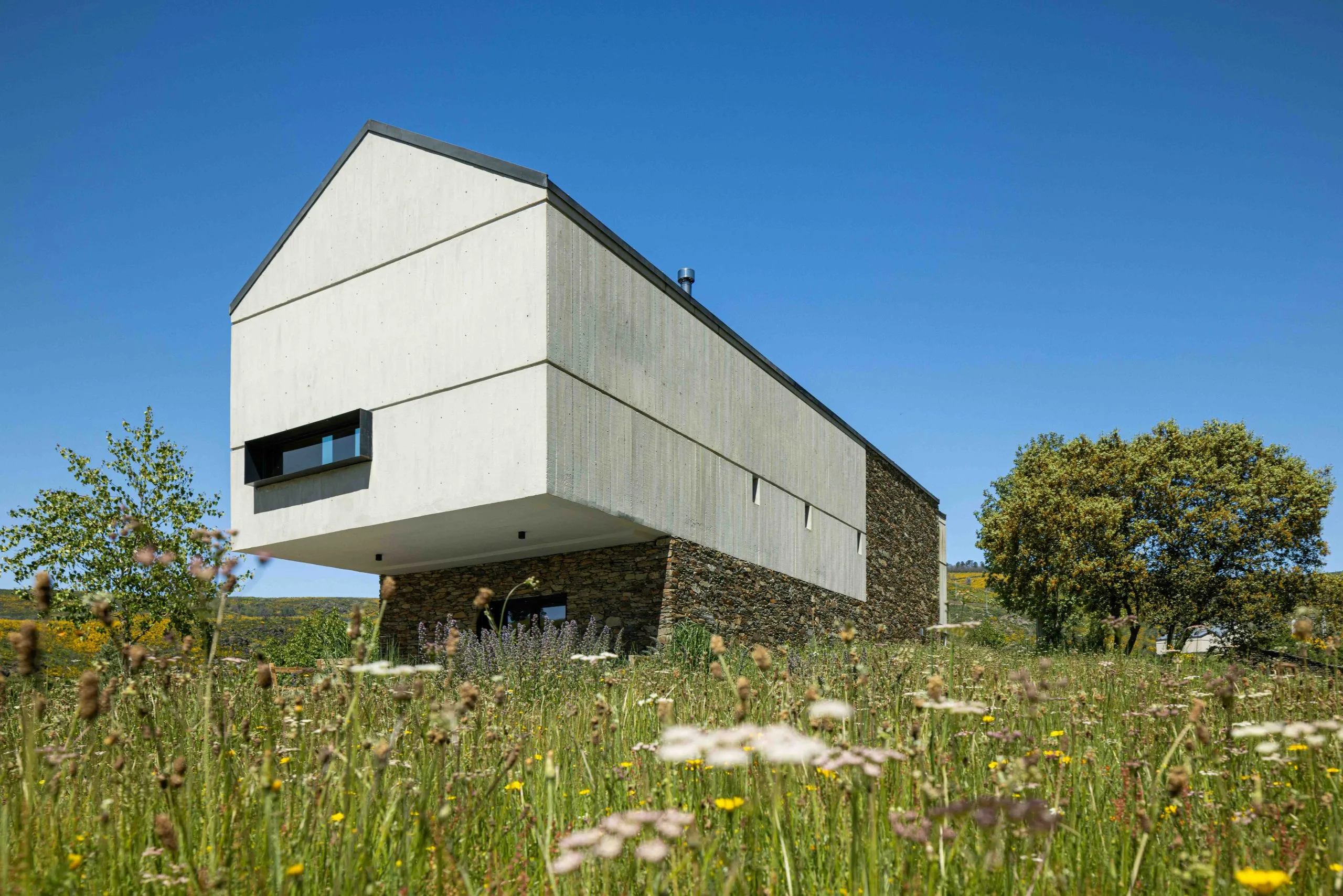 TerraSense — fotografia 13 de 14